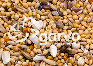 Garvo Neophemazaad 20 kg