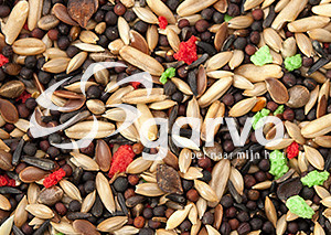 Garvo Kanarie Plus <br>20 kg