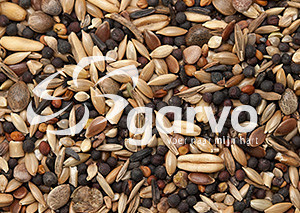 Garvo Wildzangzaad <br>20 kg