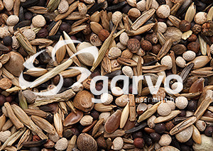 Garvo Putters & Sijzen Extra 15 kg