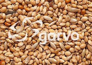 Garvo Tropisch Speciaal 20 kg