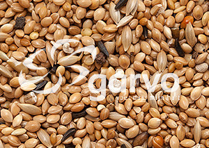 Garvo Tropisch Extra <br>20 kg