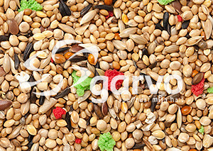 Garvo Tropisch Plus <br>20 kg