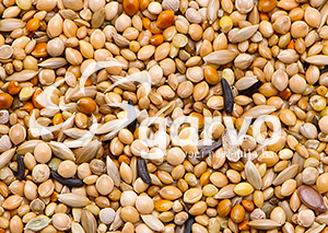 Garvo Tropical Gold <br>20 kg