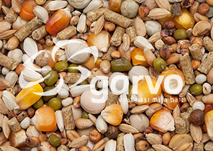 Garvo G-Spirits Kweek 20 kg