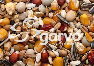 Garvo Pigeon-Academy Prestige 20 kg