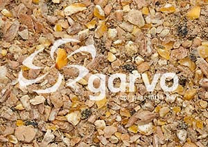Garvo Junior Solution 20 kg