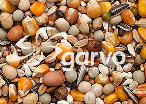 Garvo Kampioenenmengeling 20 kg