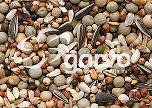 Garvo Snoepzaad 20 kg