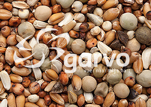 Garvo Kortbekkenvoer 20 kg