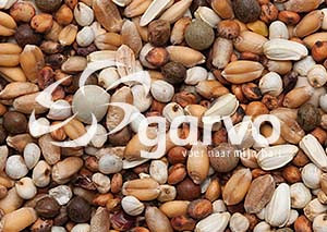 Garvo Haagsche Mix <br>20 kg