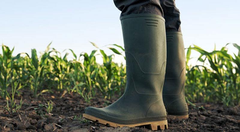 Werkkleding en schoeisel